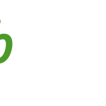 Development-Perspectives3